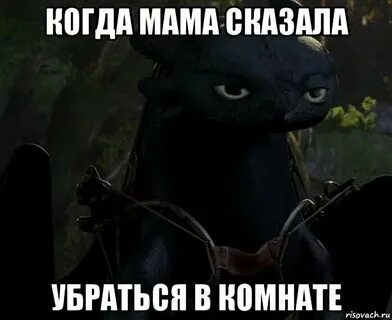 Адритатушечки адритата