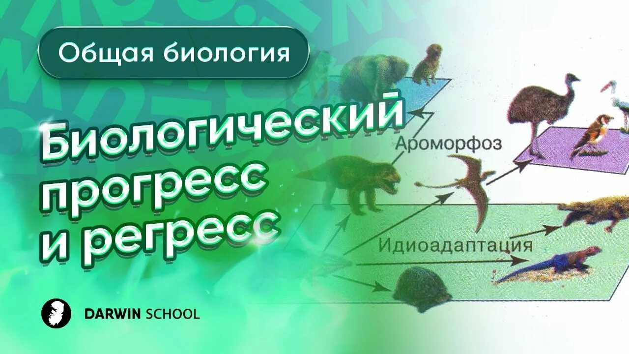 Биология видео 11 класс. Биологический Прогресс и регресс ЕГЭ. Прогресс в биологии. Регресс это в биологии. Пути достижения биологического регресса.