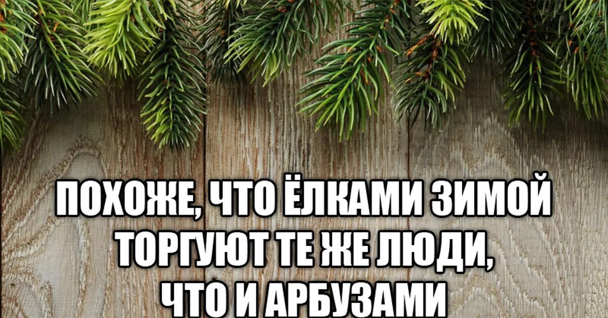 30 Декабря картинки прикольные. Декабрь смешные картинки. Утро 1 января елки приколы. Январь прикольные картинки.