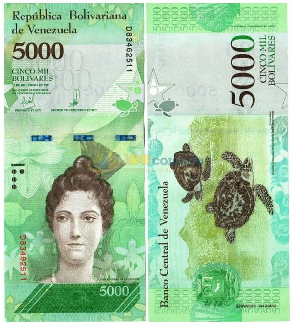 Венесуэла 2017 год. 5000 Боливаров Венесуэла банкнота. Венесуэла 5000 Боливар 2017. Банкнота 5000 Боливар. Венесуэльский Боливар банкноты.