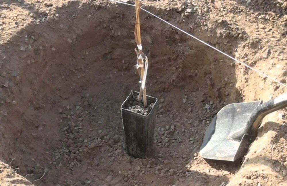 Ям можно с помощью