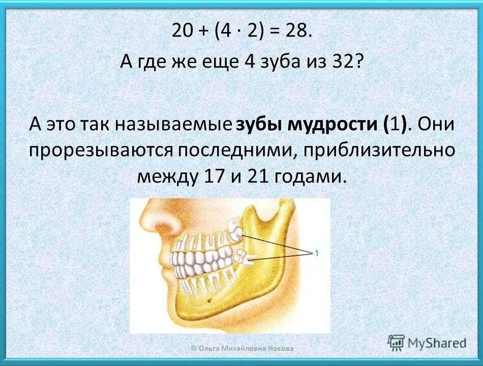 Во сколько вылезают зубы мудрости. Когда растут зубы мудрости. сколько растет зуб мудрости. зуб мудрости во сколько лет растут.