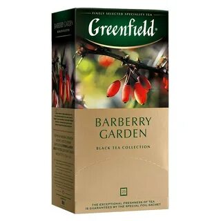 Garden 25