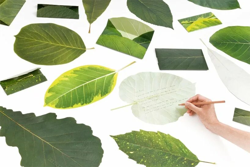 Бумажный лист. Листья интересной формы. Дерево с бумажными листьями. Бумажные листочки. Лист project
