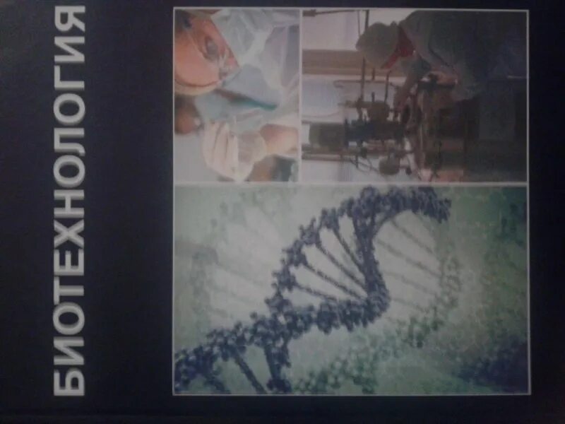 Биотехнология учебник. Биоинженерия учебник. Учебник по биотехнологии для вузов. Учебники по биотехнологии ВК. Красный учебник по биотехнологиям.