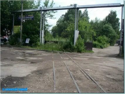 Дорога ногинск