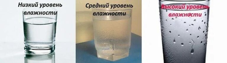Как проверить влажность воздуха в квартире. Измерение влажности воздуха с помощью стакана воды. как проверить влажность в квартире. как измерить влажность воздуха с помощью стакана воды. измерение влажности воздуха в квартире стакан с водой.