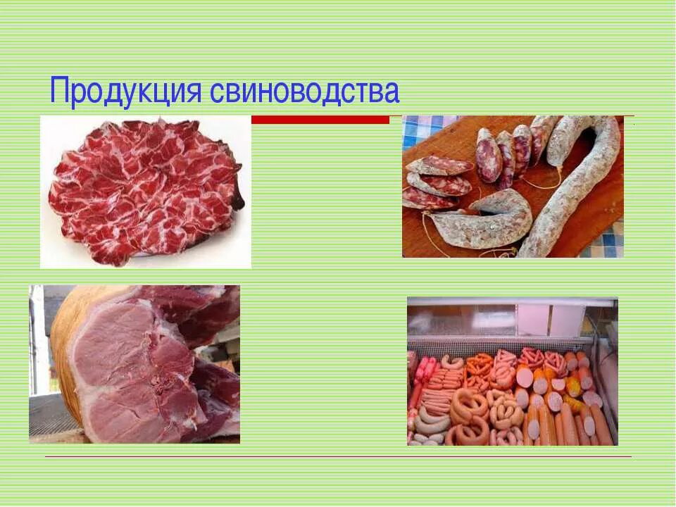 продукты животноводства. мясо молоко яйца. товары для животноводства. продукты животноводства 3 класс окружающий. продукты животноводства 3 класс окружающий.