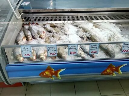 Место рыбы
