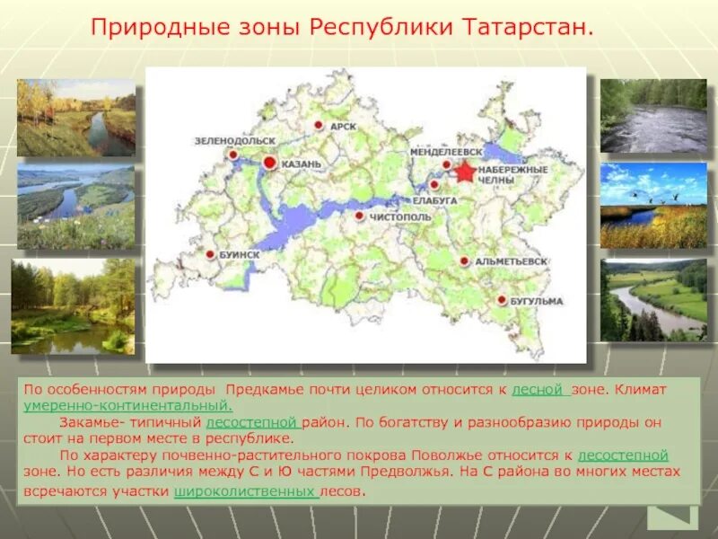 Природно географические особенности казани. Природная зона Татарстана 4 класс. Природные зоны Татарстана Закамье. Климатическая карта Татарстана. Республики Татарстана зона Татарстана.