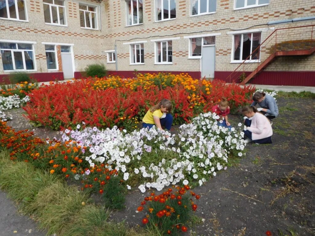 Школьный двор песня слушать. Школьный двор. цвети школьный двор. уютный школьный двор. фотосессия в школьном дворе.