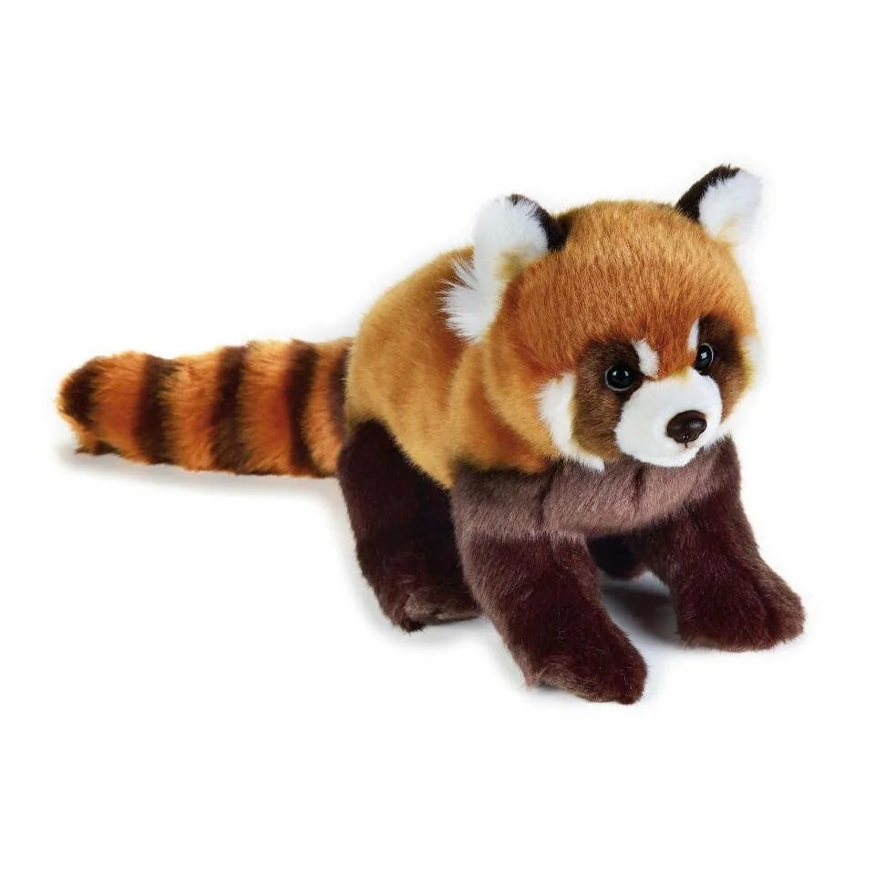 Мягкие игрушки животных купить. Игрушки National Geographic Панда. Red Panda игрушка. Плюшевая малая Панда. Глазастик красная Панда игрушка.