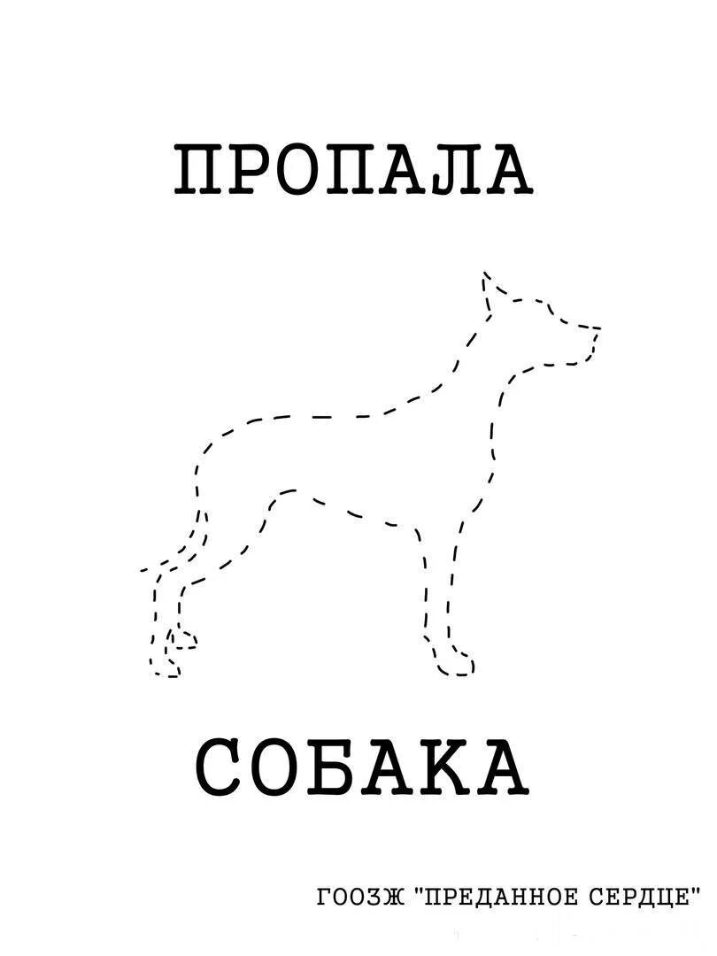 Пропала собака помогите. Пропала собака. Картинка потерялась собака. Собака потерялась рисунок. Шаблон потерялась собака.