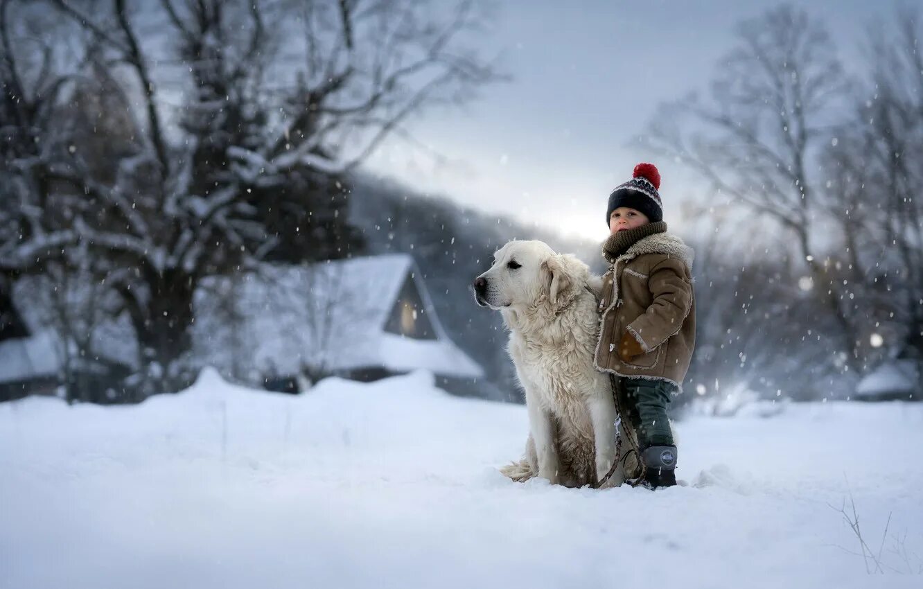 Зимняя прогулка с собакой. Собака в снегу. Собака гуляет зимой. Прогулка с собакой в зимнем лесу.