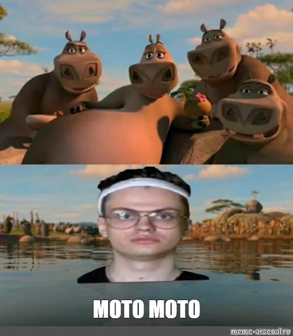Бегемот мото мото из мадагаскара. Откуда мото мото. Откуда мото мото. Мото мото. Бегемот мото мото из мадагаскара.