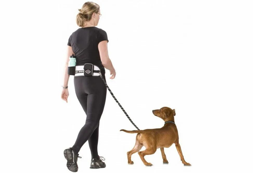 Девушка с собакой на поводке. Прогулка с собакой на поводке. Одежда для прогулок с собакой. Прогулка с собакой. Прогулка с собакой.