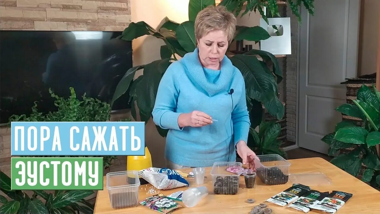 Садовый мир с натальей петренко виноград. Ютуб садовый. Ютуб садовый. Садовый мир с натальей петренко. Канал аленин сад.