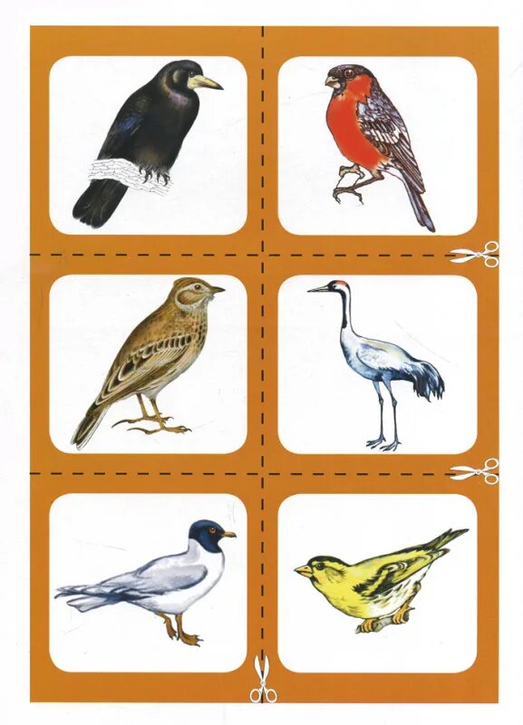 лото зимующие птицы. тематический комплект зимующие птицы. лото зимующие птицы. зимующие птицы с названиями для детей. игра лото перелетные птицы.