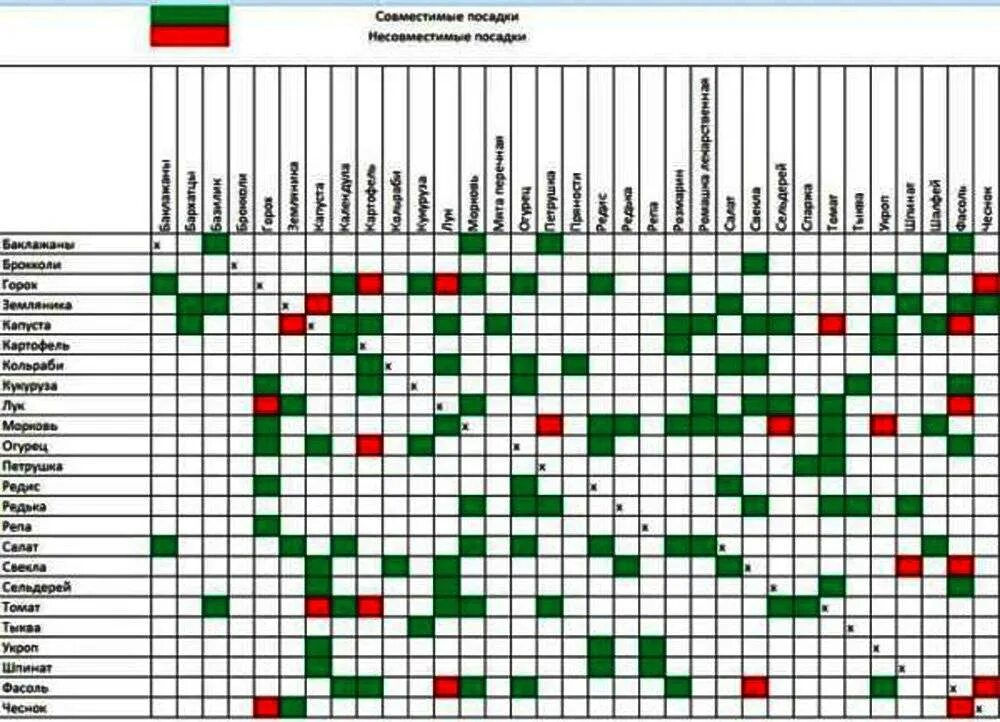 Соседство растений на грядках таблица совместимости. Схема совместимости плодовых деревьев. Совместимость посадки плодовых деревьев в саду таблица. Совместимость плодовых деревьев и кустарников в саду таблица. Совместимость растений в саду и огороде таблица плодовые.