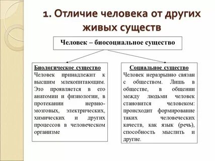 Что отличает ее