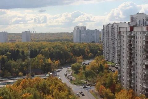 Фото коньково
