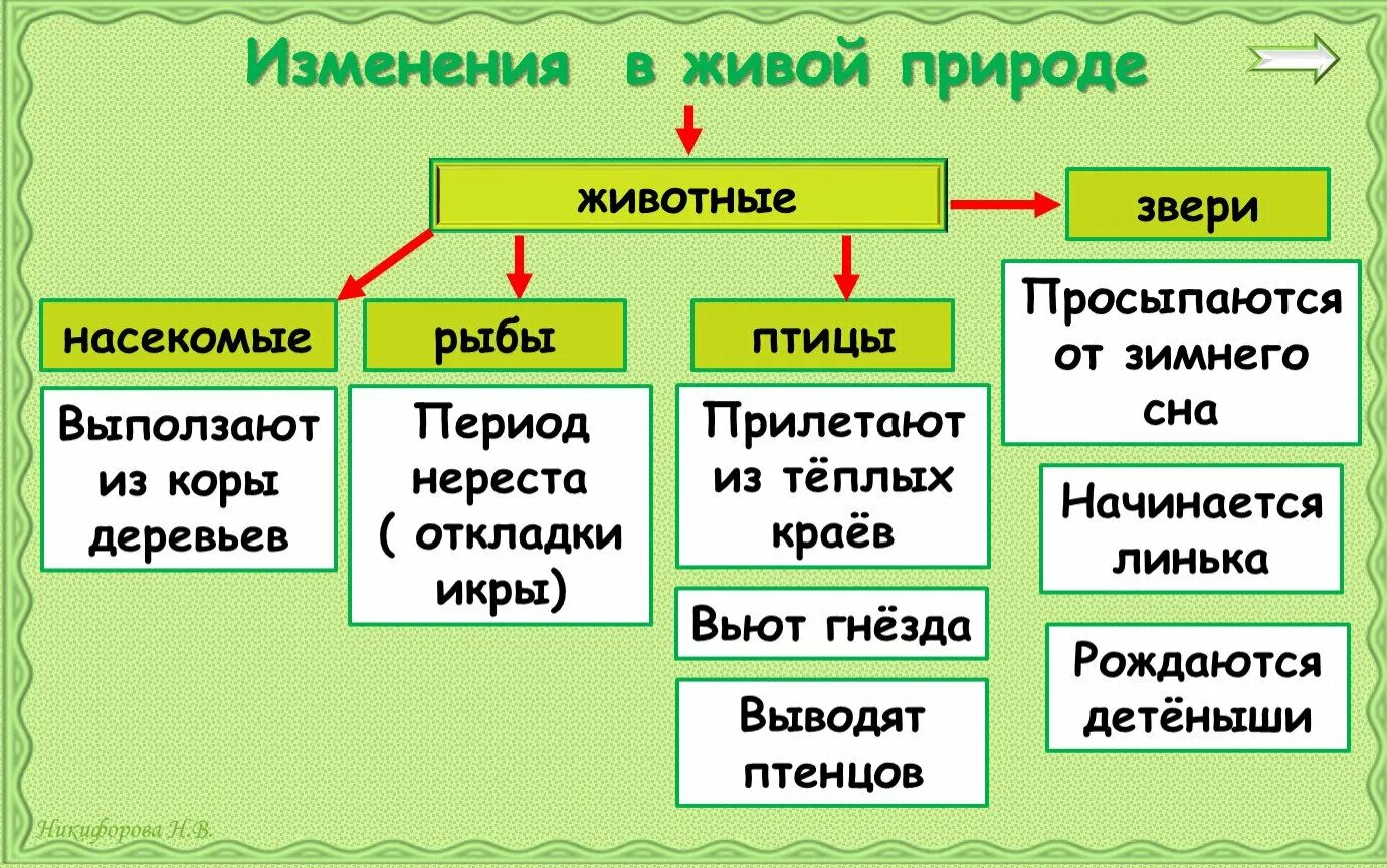 Сезонные изменения в живой природе. Весенние изменения в живой природе. Сезонные изменения в живой природе летом. Таблица по биологии сезонные изменения