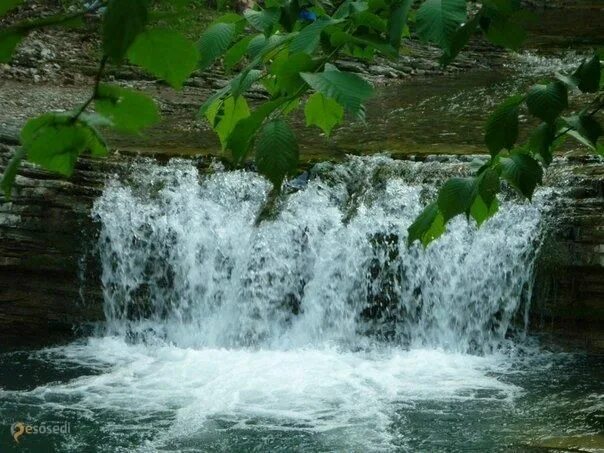 Неберджаевские водопады. Родник святая ручка краснодарский край. Водопад малый неберджай. Неберджаевские водопады. Река жанэ.