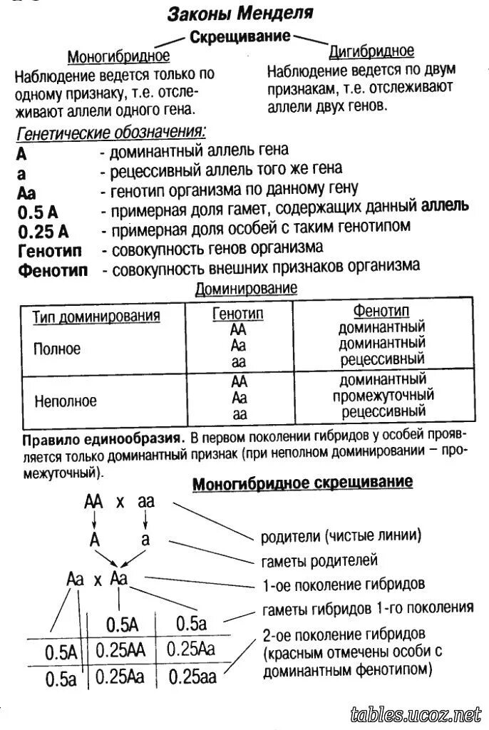 4 закона менделя генетика. первый закон менделя схема пример. 4 закона менделя генетика. 3 закон менделя формулировка и схема. второй закон грегора менделя.