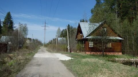 Снт лесное