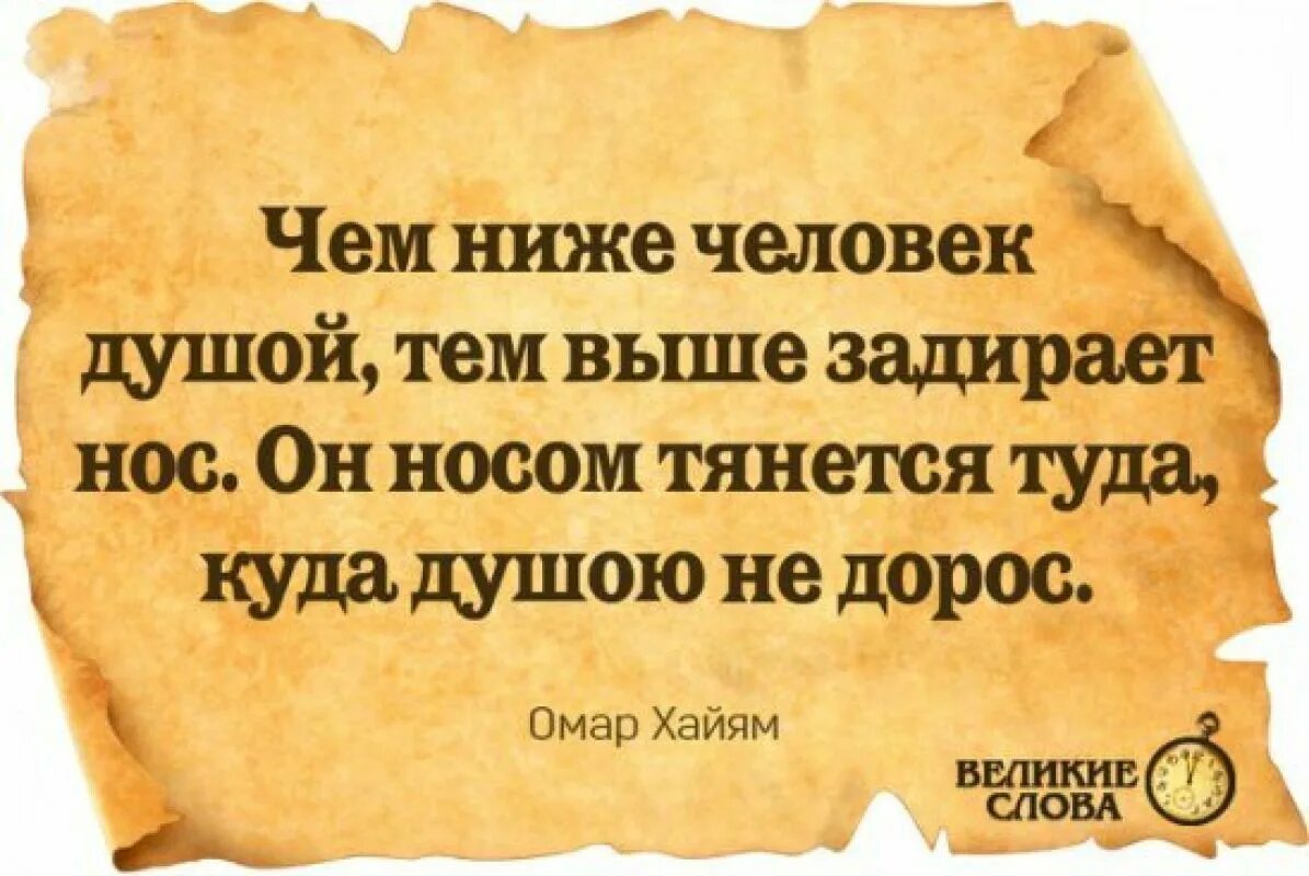 Ни о чем не спорить. Афоризмы про дураков. Спорить с дураком. Спорить цитаты. Никогда не спорь с дураком.