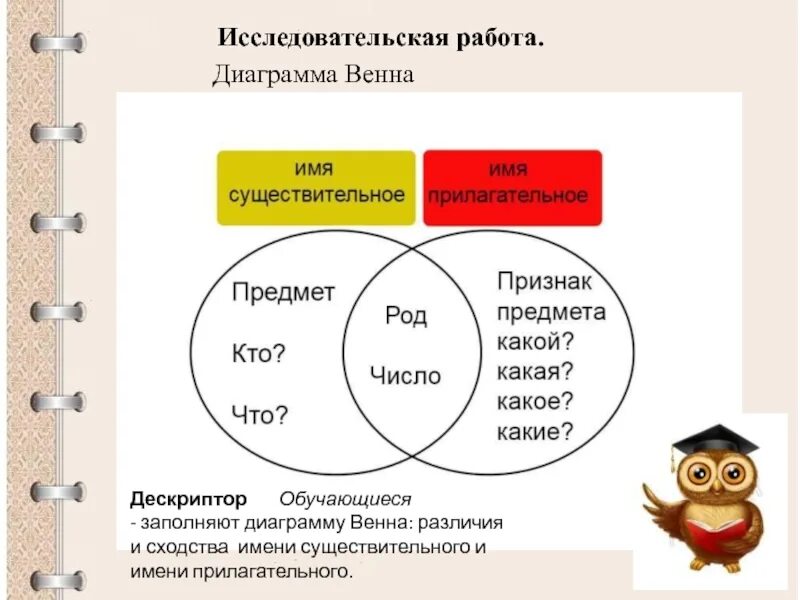 Сочетание прилагательных. Диаграмма венна существительное и прилагательное. диаграмма венна на уроках русского языка. сочетание имен существительных с именами прилагательными. сочетание имен прилагательных с существительными.