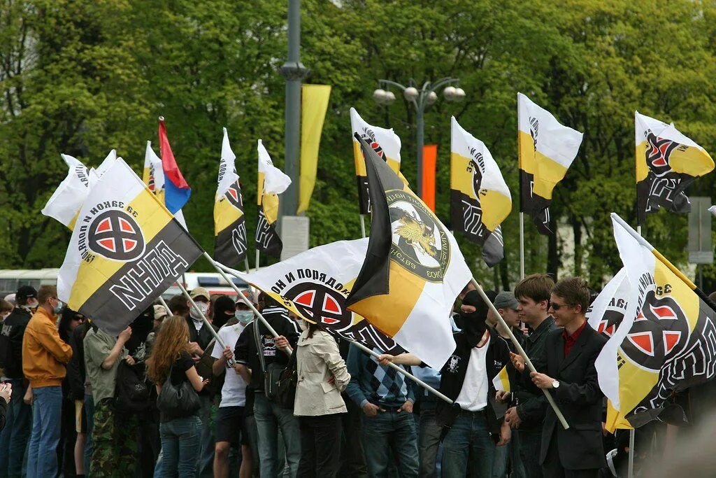 ДПНИ. ДПНИ митинг. ДПНИ партия. Первомай ВДНХ. Тг канале силовики