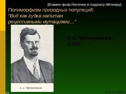 Четвериков биография