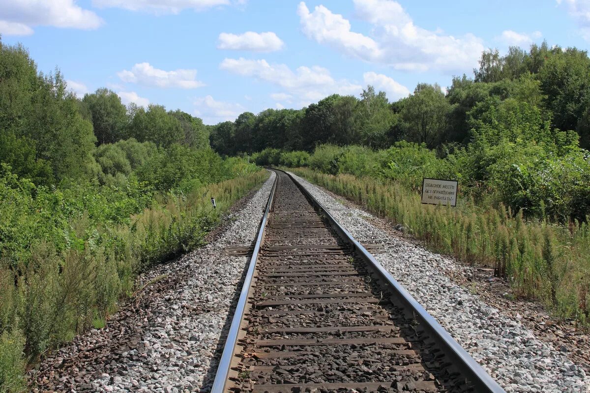 земля участки в железнодорожном. участок железной дороги. балашиха район гагарина. земли железнодорожного транспорта. антропово станция ржд.