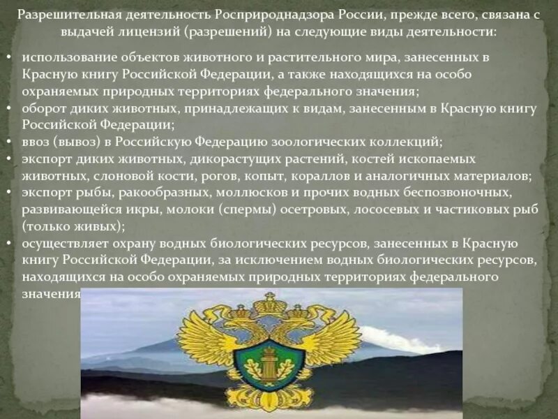 Особенности разрешительной деятельности в рф. Разрешение Росприроднадзора. Природные ресурсов и экологии Российской Федерации. Министерство природных ресурсов и экологии Российской Федерации. Функции Минприроды РФ.