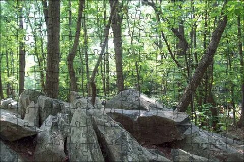 Лес каменная гора