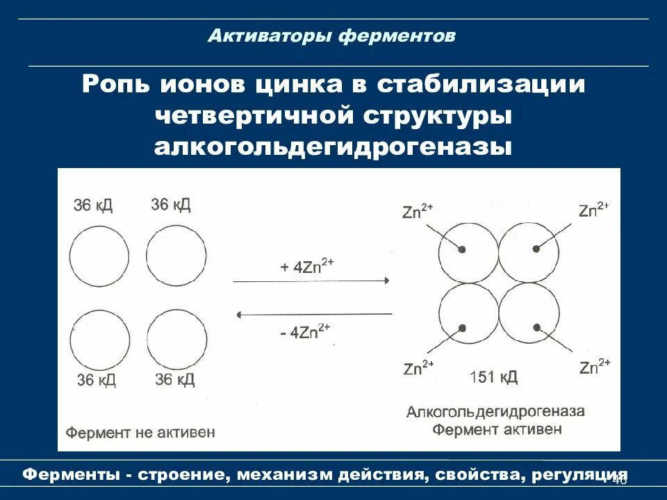 Zn активность. Активация ферментов ионами металлов. Активаторы ферментов таблица. Механизм действия активаторов и ингибиторов ферментов. Ферменты активируемые металлами.