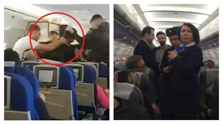 дебошир в самолете. пускают ли пьяных в самолет. паника на борту самолета. авиадебоширы в аэропорту. дебош москва анталия.