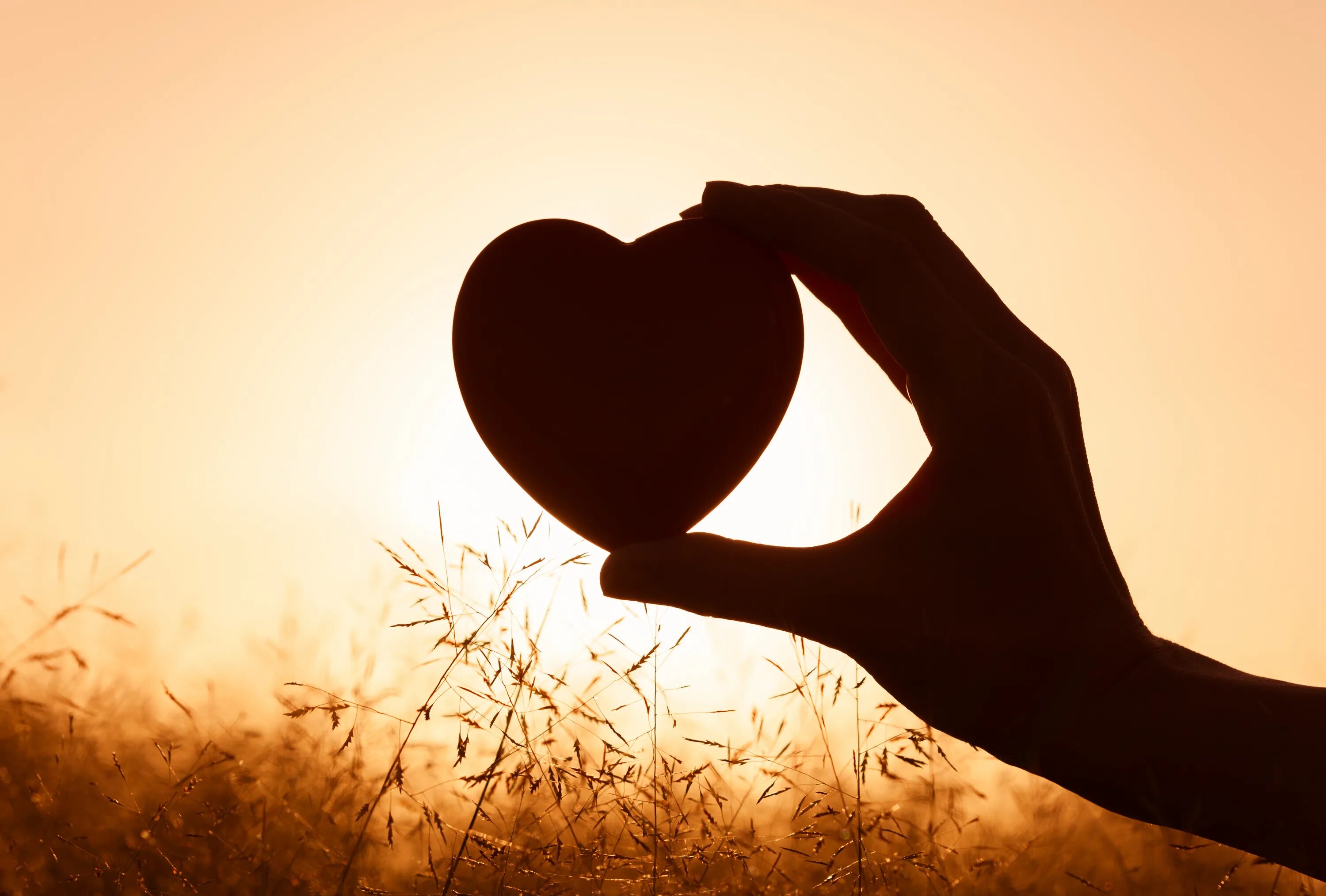 Things that feel плакат. Вера в себя и свои силы цитаты. When you heart. I love you поцелуй. Love story цветы.