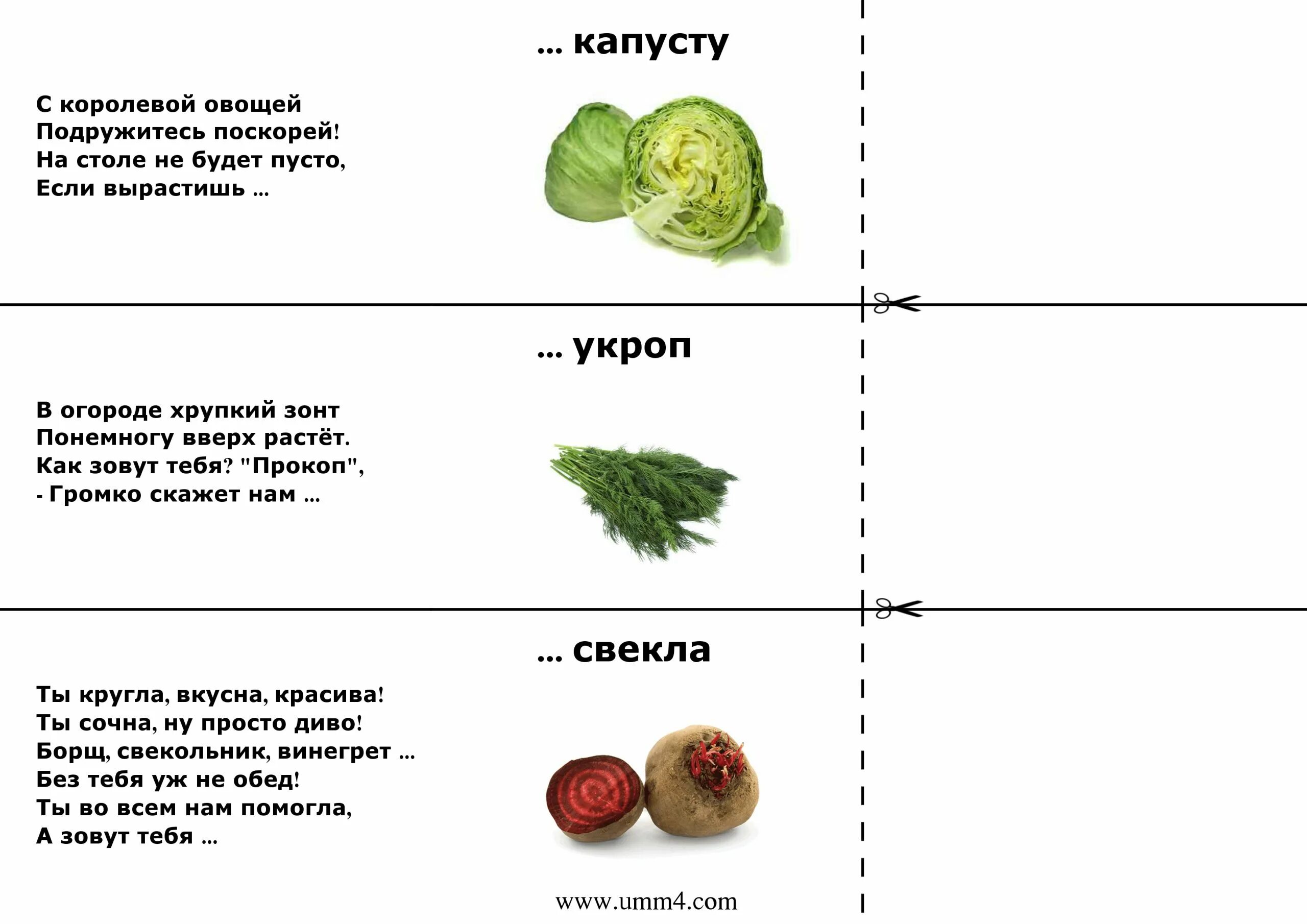 Загадки про овощи и фрукты для дошкольников. Загадки про овощи для дошкольников. Загадки про овощи и фрукты для детей 5-6 лет с ответами. Загадки про овощи для детей 1 класса с ответами. Виде загадки для детей