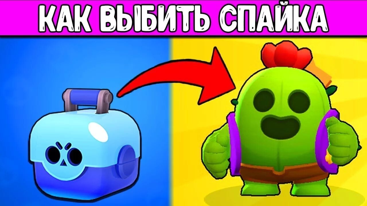 Как получить спайка в шлеме. Спайк бравл выпадение. спайк бравл старс выпал. как выбить спайка. спайк brawl stars выпадение.
