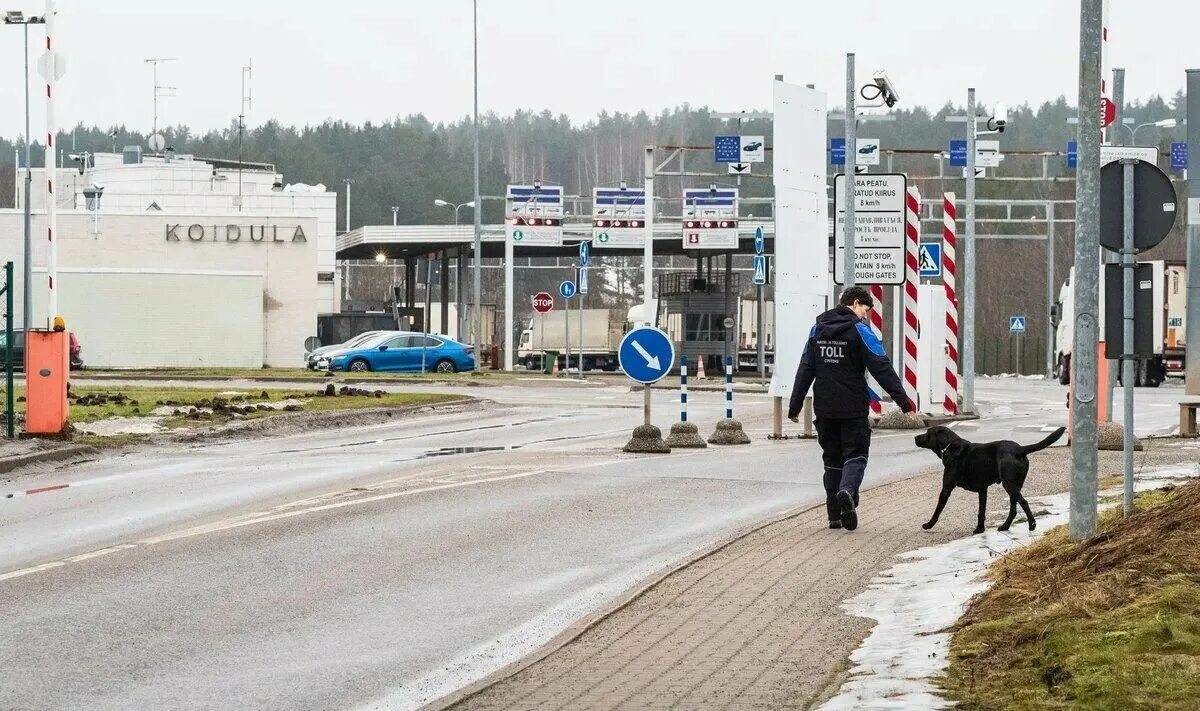 Эстонская граница новости. Российско эстонская граница зимой. Эстонская граница новости. Забор на границе с эстонией. Российско-эстонская граница.