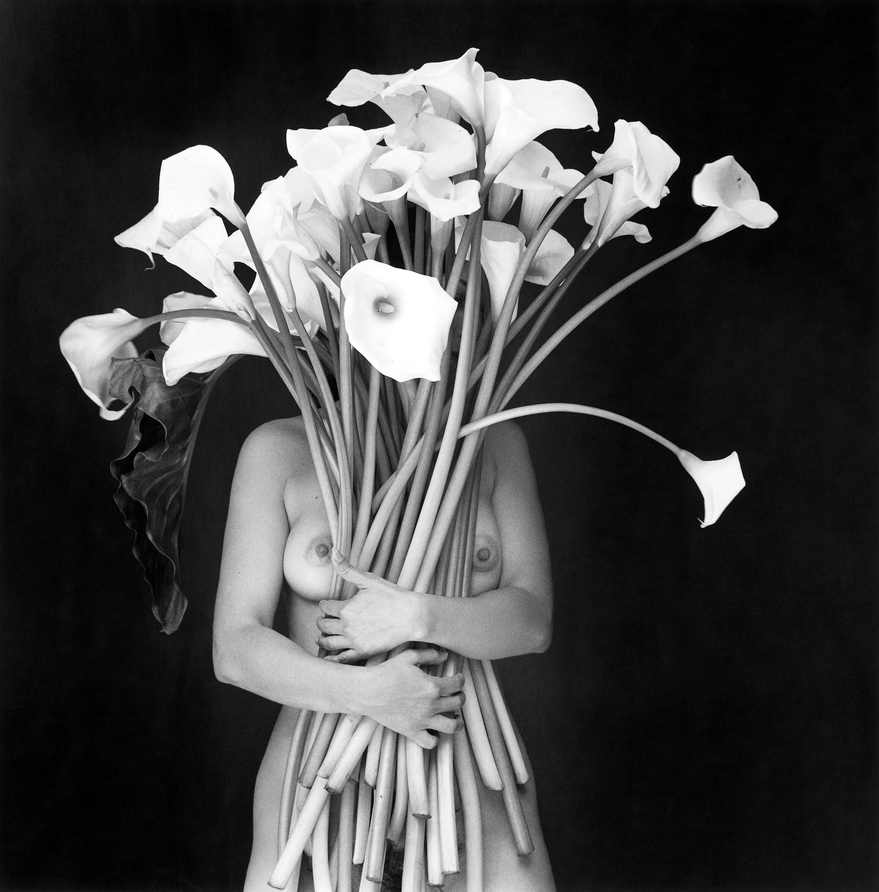 Фотограф Флор Гардуньо. Флор Гардуньо цветы. Цветы в черно белом цвете. Сюрреализм в черно-белом цвете.