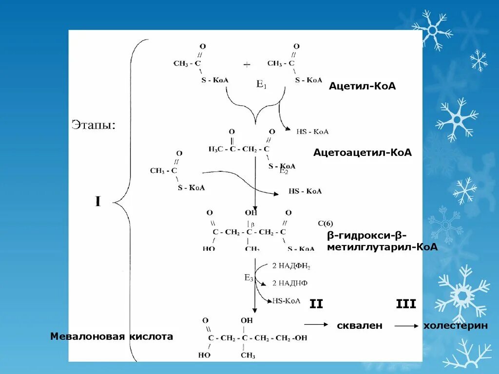 Ацетил КОА. Ацетоацетил КОА. Ацетил s КОА. Β-гидрокси-β-метилглутарил-КОА. Коа формула