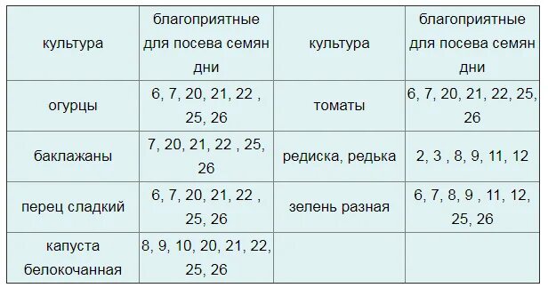 Благоприятные дни для семян помидор
