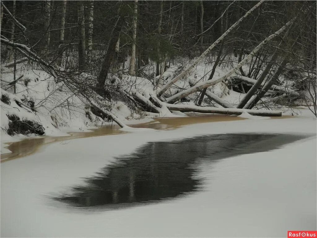 группа полынья. полынья слушать. полыньи на реке что это. полынья слушать. полынья слушать.