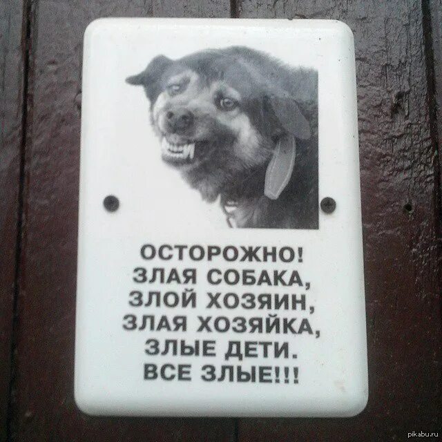 Осторожно, злая собака!. Осторожно злая собака а кот вообще дебил. Собака злая а кот вообще. Осторожно злая собака а кот вообще дебил табличка. Табличка осторожно злая собака а кот вообще.