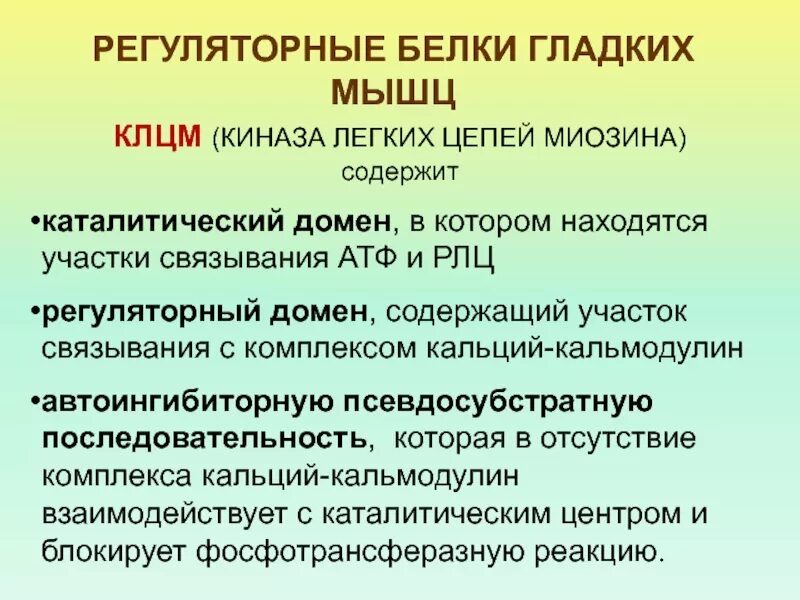 Гормональная функция белка. Функции белков регуляторная функция. Белки регуляторная функция. Регуляторная ункция белко. Регуляторный белок.