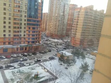 Авито реутов