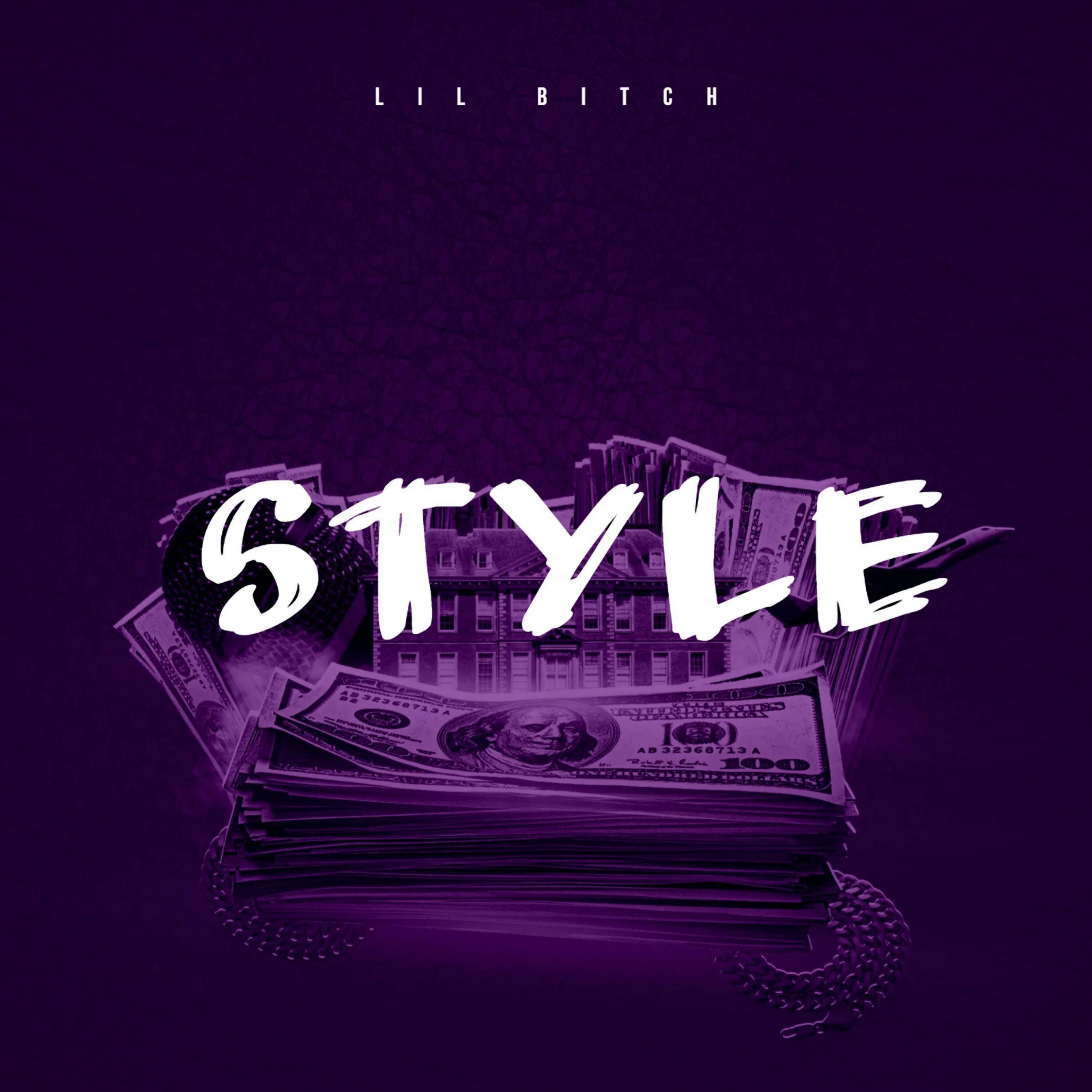 Lil bitch. Lil bitch картина маслом. Lil bitch. Kitty b. Lil bitch.